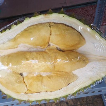 Cung cấp sầu Riêng 6 Ri