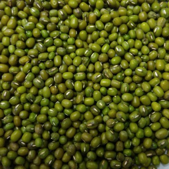 CUNG CẤP ĐẬU XANH LÀM GIÁ CHẤT LƯỢNG